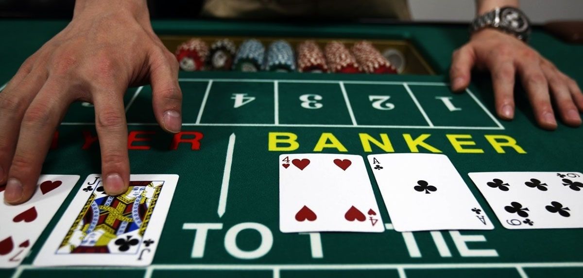 bigwinclub Live Betting